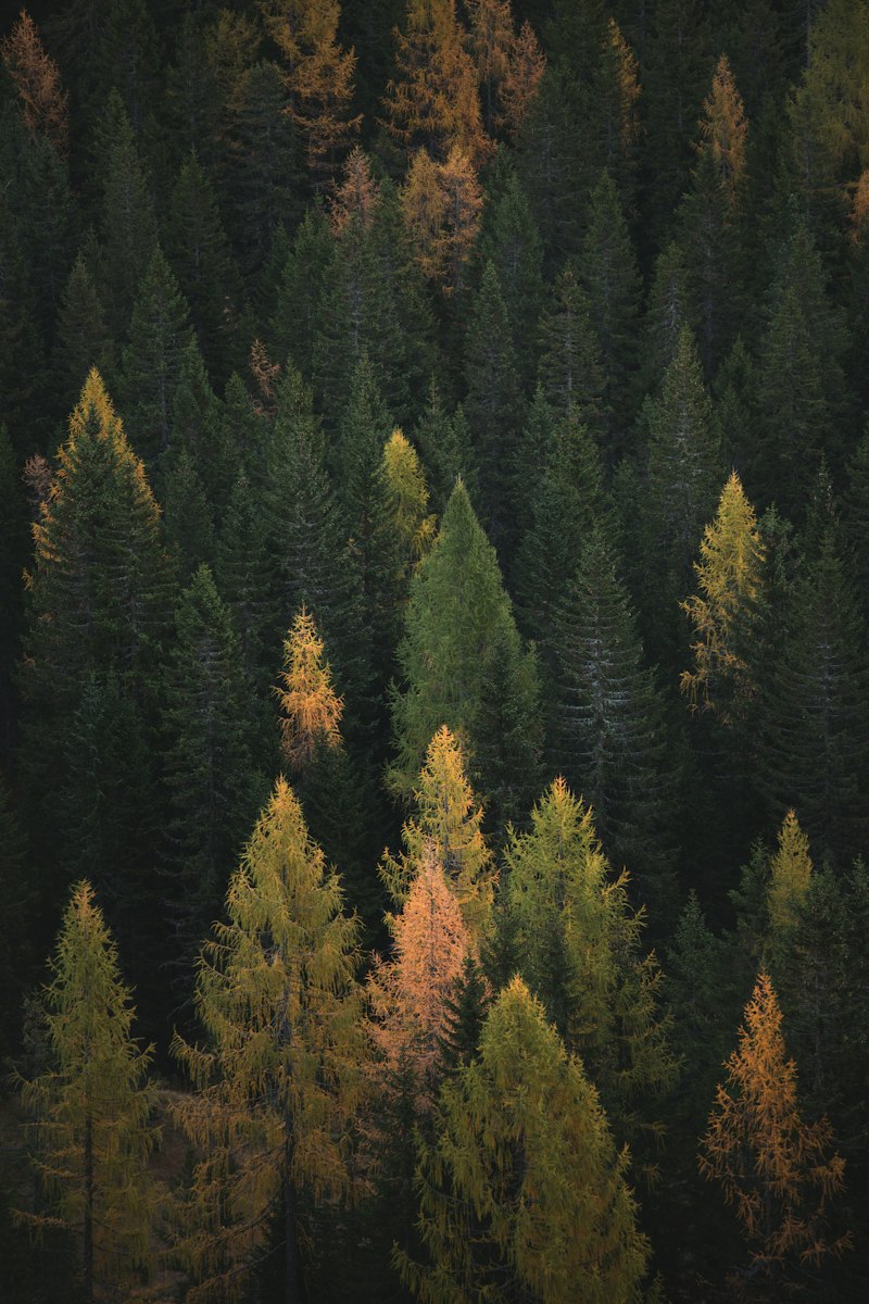 Saas-Fee resort imagery